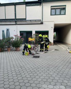 Bild 7 von 9