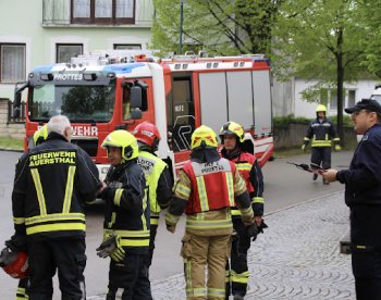 Bild 7 von 15