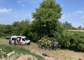 Bild 3 von 5