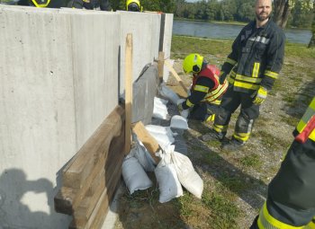 Bild 5 von 7