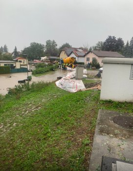 Bild 7 von 8