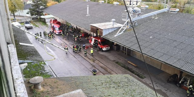 27.10. Brand DW