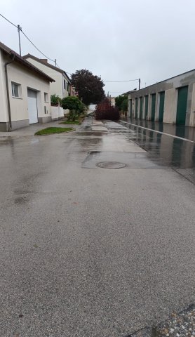 Baum Mühlgasse